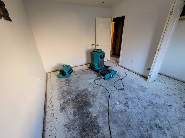 Best Flooded house restoration  in St Paul, TX