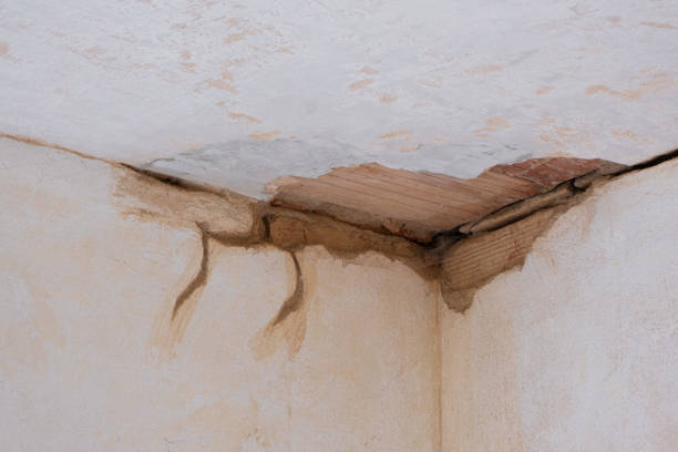 Best Commercial water damage restoration  in St Paul, TX