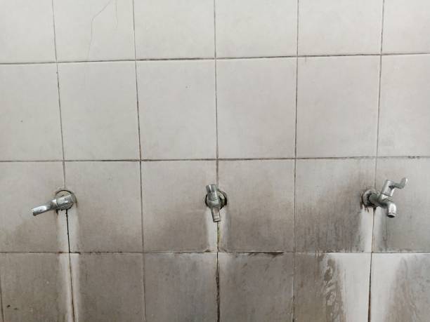 Best Water damage repair service  in St Paul, TX
