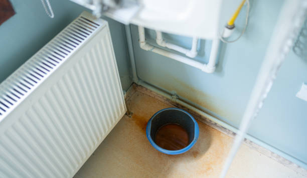 Best Water damage restoration experts  in St Paul, TX