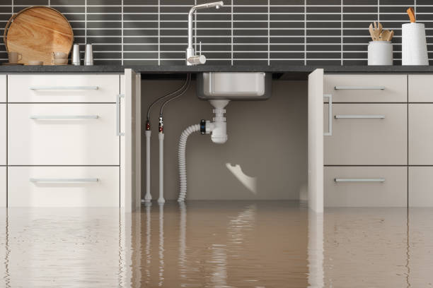 Best 24/7 water damage repair  in St Paul, TX