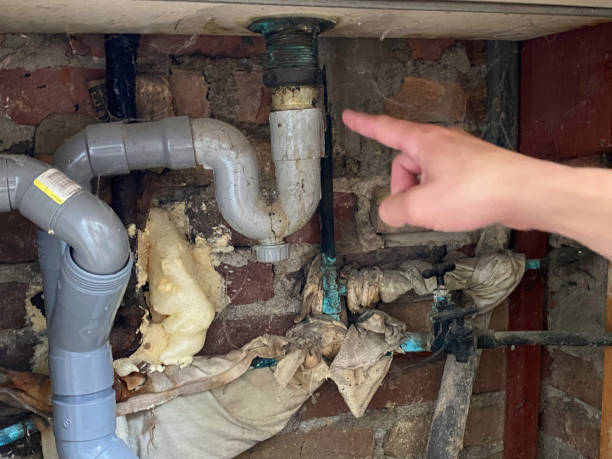 Best 24-hour water damage restoration  in St Paul, TX